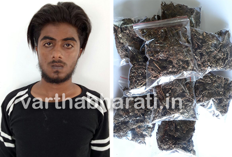 ಗಾಂಜಾ ಮಾರಾಟ: ಆರೋಪಿ ಬಂಧನ